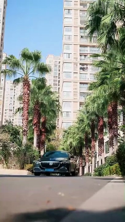 After dressing up as the doomed heroine of the sadistic text, she refused to accept her fate, domineering declaration system, I choose whoever is the male protagonist, her goal is clear, pointing directly to the living King of Hell Lu Junyue, what stand-i