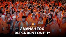 Reliance on allies may blunt Amanah’s values-based politics, analyst says