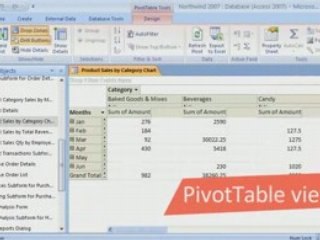 Access 2007 Demo: Form Views