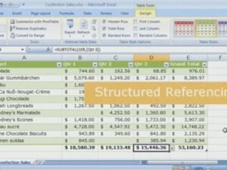 Excel 2007 Demo: Organizing Data
