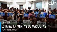 Congreso de CDMX analiza prohibir la venta de mascotas en redes sociales y plataformas digitales
