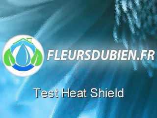 Heat Shield pour lampes aux sodium