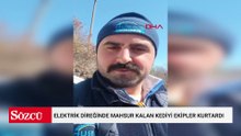 Elektrik direğinde mahsur kalan kediyi ekipler kurtardı
