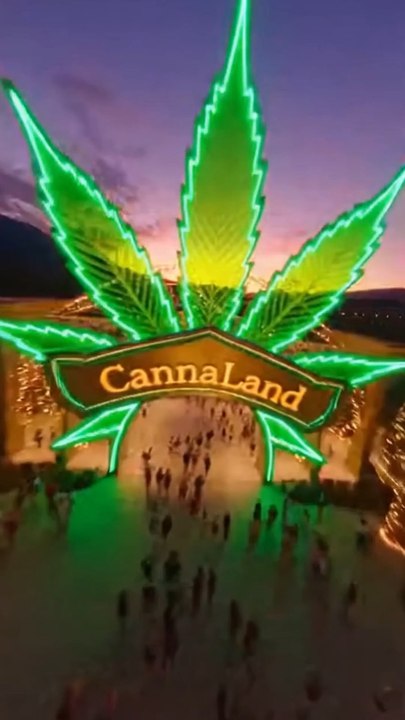 Le parc que personne n’avait demandé… mais tout le monde veut 🎡😍