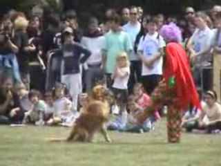 DOGPRIDE A MONTECATINI TERME 25-5-2008