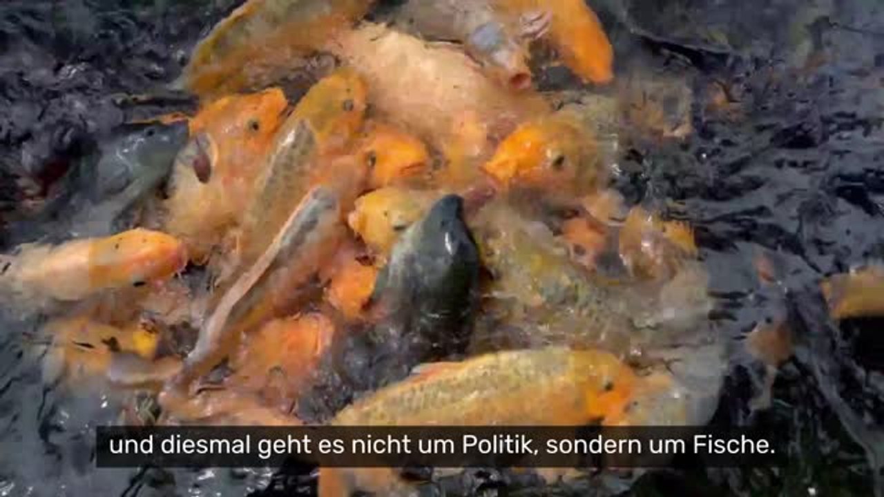 Donald Trump erklärt den nächsten 'Krieg: Absurde Kampfansage - jetzt warnt er vor 'zerstörerischen' Fischen