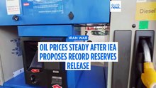 Oil steadies as IEA and G7 move to release record reserves