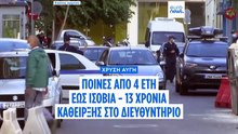 Χρυσή Αυγή: Οι τελεσίδικες ποινές για τους καταδικασθέντες - Στη φυλακή η Ελένη Ζαρούλια