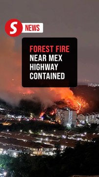 Bomba contains forest fire near Putrajaya toll plaza