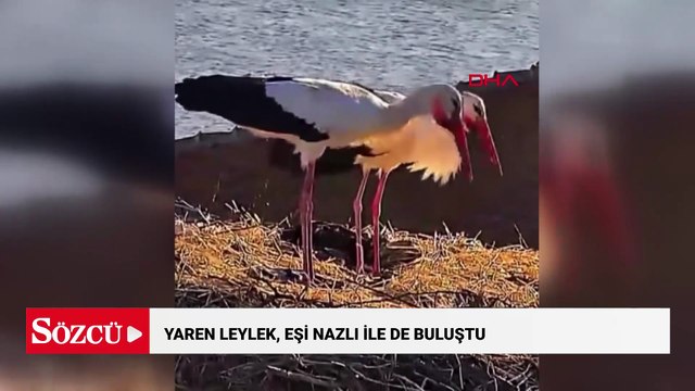 Yaren Leylek, eşi Nazlı ile de buluştu