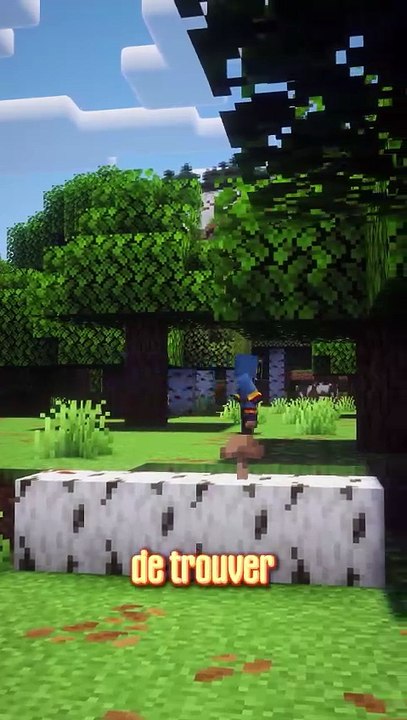 Le plus PETIT STRONGHOLD de Minecraft 😱