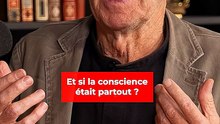 Et si la conscience était partout ?