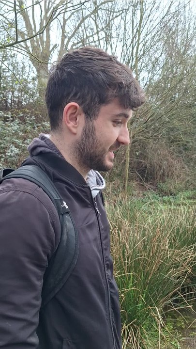 La ponte des grenouilles agiles en Mayenne