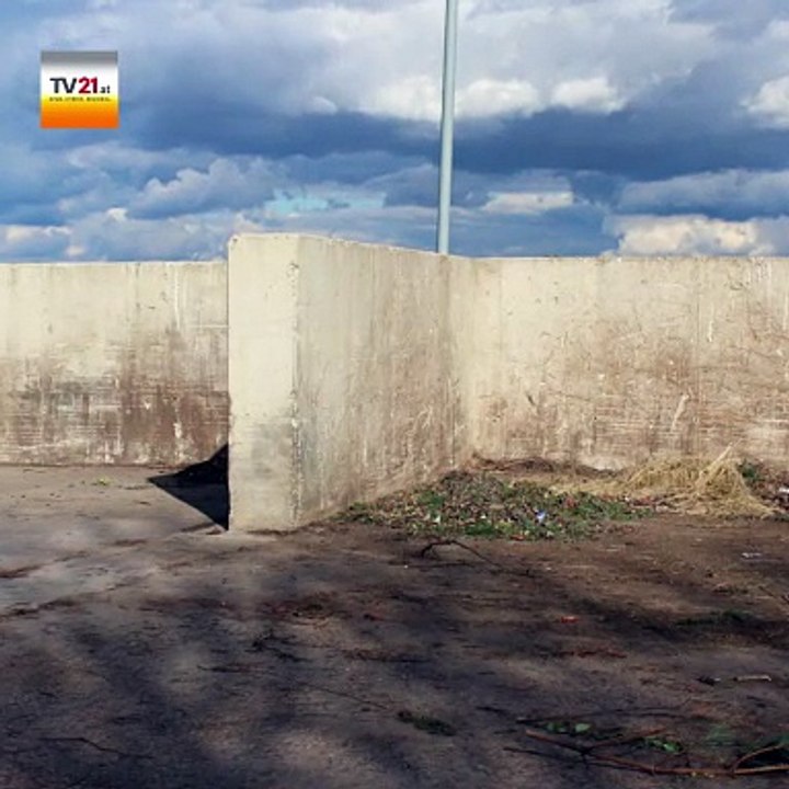 Strasshof_ Grünschnittsammelplatz nach dem  Winter