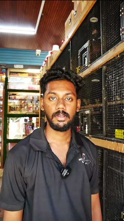 ഓമനിക്കാൻ പറ്റിയ ഫാൻസി ഗിനി പിഗ്ഗുകൾ | Fancy Guinea Pigs