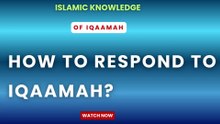 How to respond to Iqaamah?