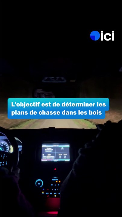 Comptage de cerfs dans la forêt d'Eawy