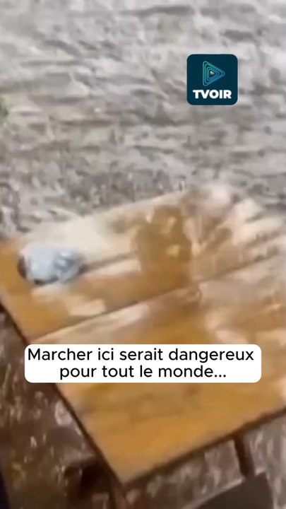 Il a préféré prendre la catastrophe du bon côté ! 🤣🌊