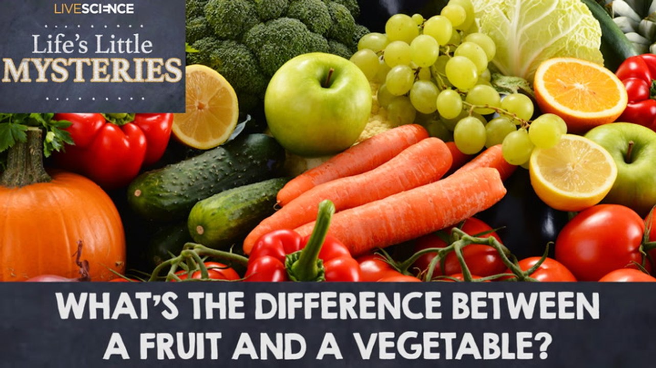 What's the difference between a Fruit and a Vegetable?