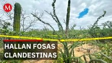 Localizan seis cuerpos en cinco fosas clandestinas en Baja California Sur