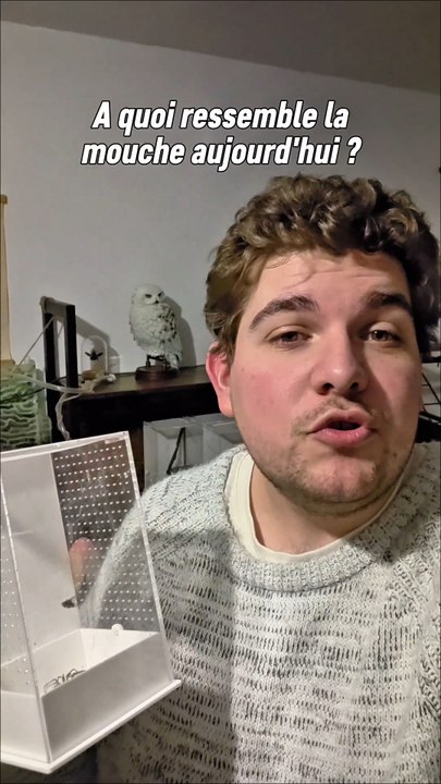 Désolé pour la comparaison je vais être détesté pour ça. 😅