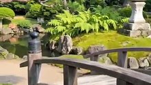 Beautiful Qur’an Recitation – Peaceful and Spiritu