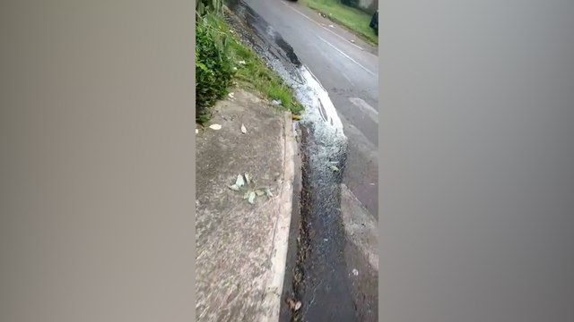 Cadê a Sanepar? Moradores de Cascavel reclamam de vazamento de esgoto “está muito fedido”