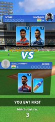 How to play cricket game
