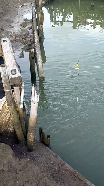 Wait for it 🎣