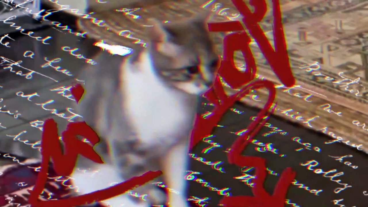 DECKYORI - I WILL SURVIVE (MV LYRIC)