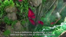Trailer Speciale Italiano - Viaggio nell'isola misteriosa
