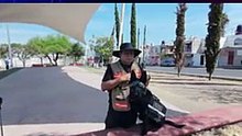 Perro de trabajo