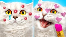 Cat is testing viral life hacks 🙀 😺 || How to camouflage pimples 💕