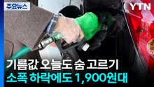 소폭 하락에도 1,900원대...전국 휘발유 평균 1,900원 / YTN