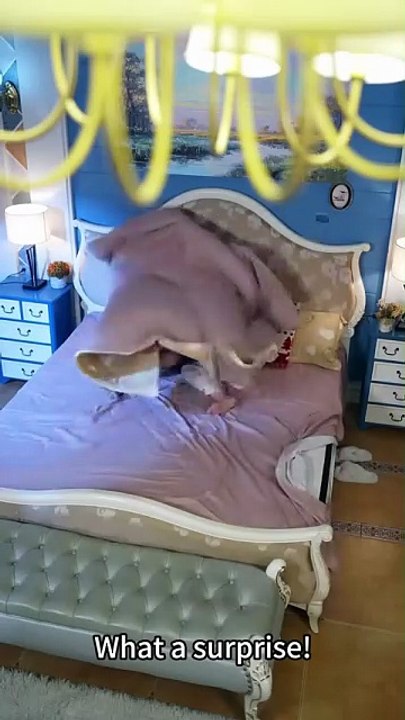 At the end, they entered the bloody world with their girlfriends, their first reaction was not to rob men, but to decisively refuse to fall in love, one focused on their careers, and the other focused on saving capital