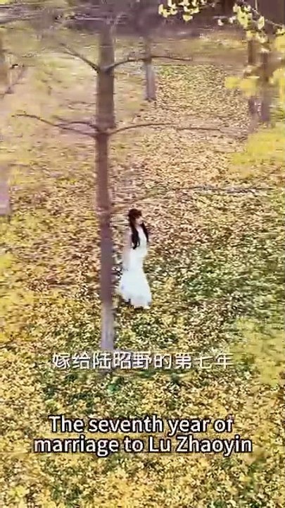 After seven years of marriage, she exhausted almost everything for pregnancy, but she never could wait for a child, until she heard him hugging Bai Yueguang and saying that she deserved it, she was completely dead and decisively divorced