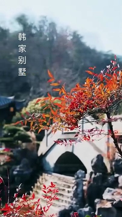 She thought that all that awaited her was indifference and torture, and she was even ready to torture each other for the rest of her life, but she didn't know that the Buddha who was cold and ascetic in the eyes of the world had silently blocked the wind