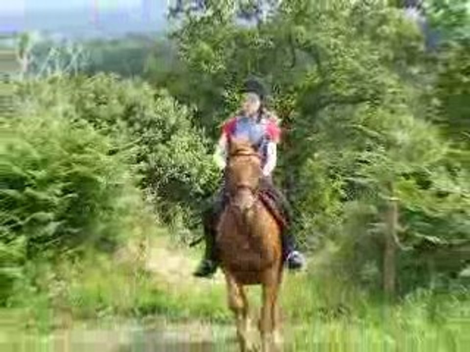 DSCF0621
