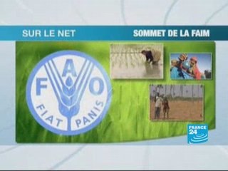Le sommet de la FAO mobilise la toile