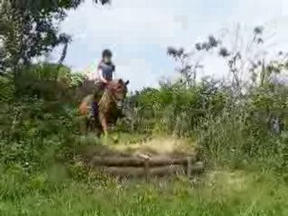 DSCF0625