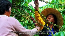 Uplifting the Promise of Bukidnon Coffee