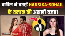 Hansika Motwani Divorce Reason: Advocate ने बताई हंसिका मोटवानी और Sohael Khaturiya के तलाक की वजह!