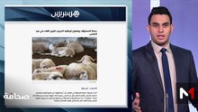 قراءة في عناوين الصحف - 11/03/2026