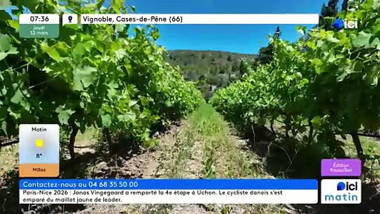 12/03/2026 - ici matin par ici Roussillon en vidéo