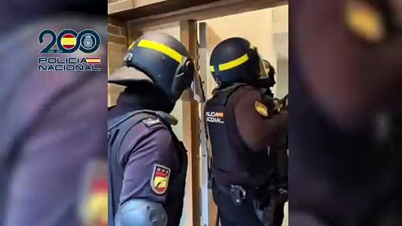 Cuatro detenidos por cultivar 1.600 plantas de marihuana en Colmenar Viejo