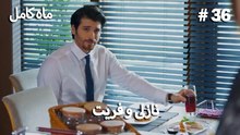 ماه کامل - نازلی و فریت شماره 36