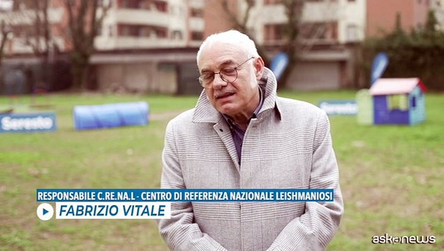 Una Mappa della leishmaniosi per proteggere gli animali domestici