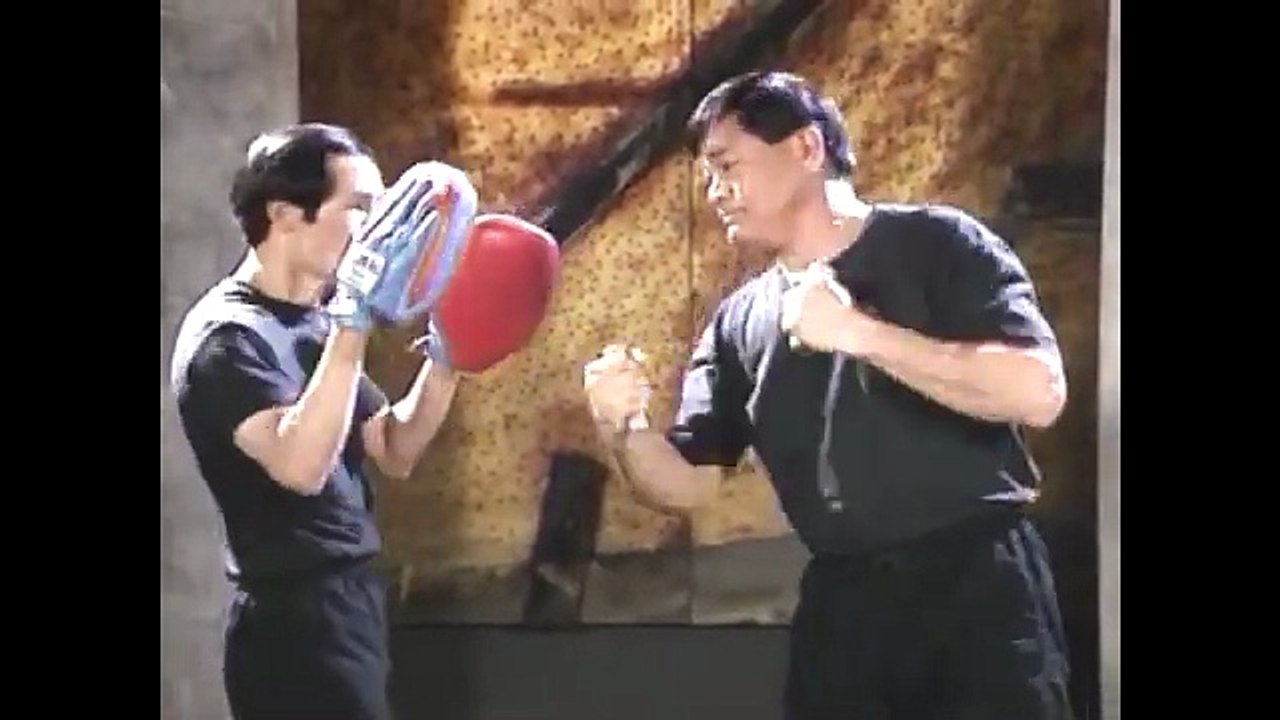 Bruce Lee's Fighting Method