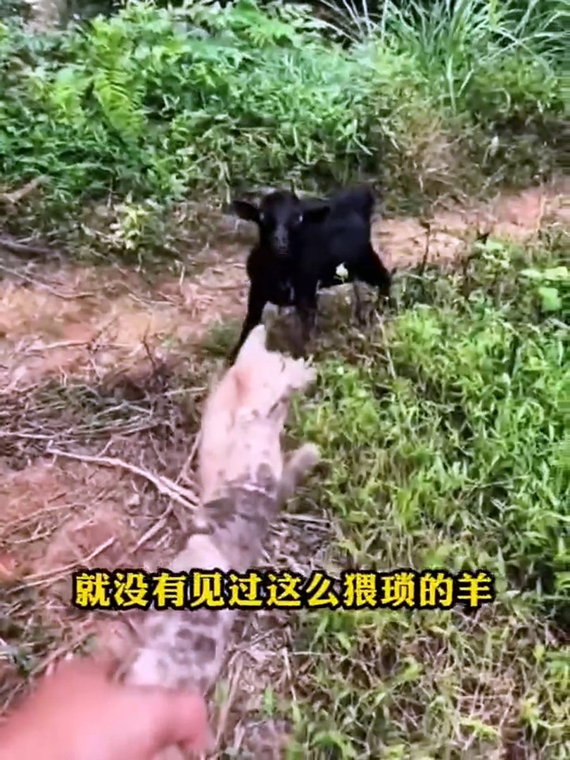 Funny fails, funny moments