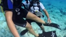 Woman alleges inappropriate touch from her scuba instructor